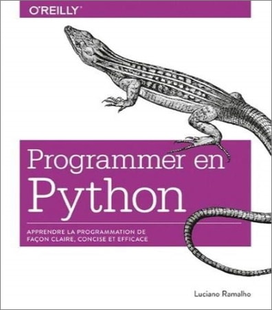 Livre programmation python bible complet pour programmer efficacement langage informatique top5